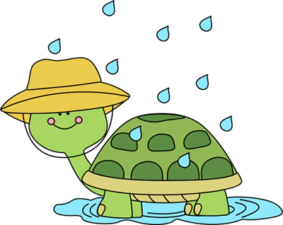 turtle rain